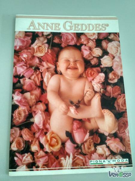 Procuro caderno pautado Anne Gueddes para comprar