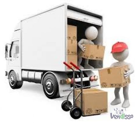 Mude Certo mudanças e transportes