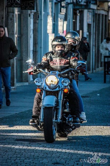 Harley davidson softail delux