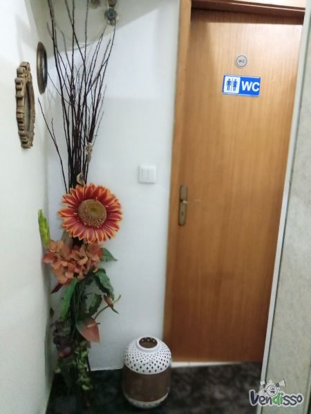 Cabeleireiro Estética exploração