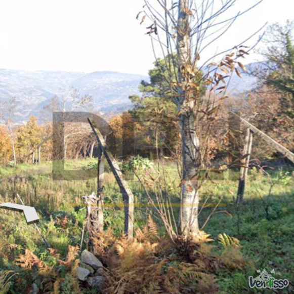 Post DPLI IMÓVEIS (1080 x 1080 px) (1080 x 1080 px) (86)