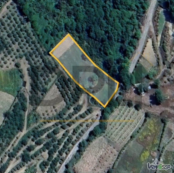 Post DPLI IMÓVEIS (1080 x 1080 px) (1080 x 1080 px) (87)