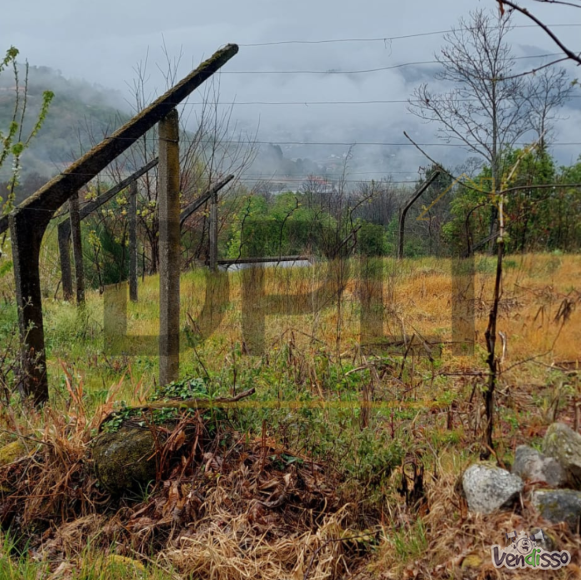 Post DPLI IMÓVEIS (1080 x 1080 px) (1080 x 1080 px) (89)