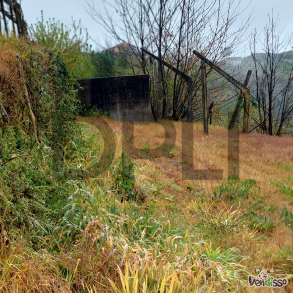 Post DPLI IMÓVEIS (1080 x 1080 px) (1080 x 1080 px) (93)