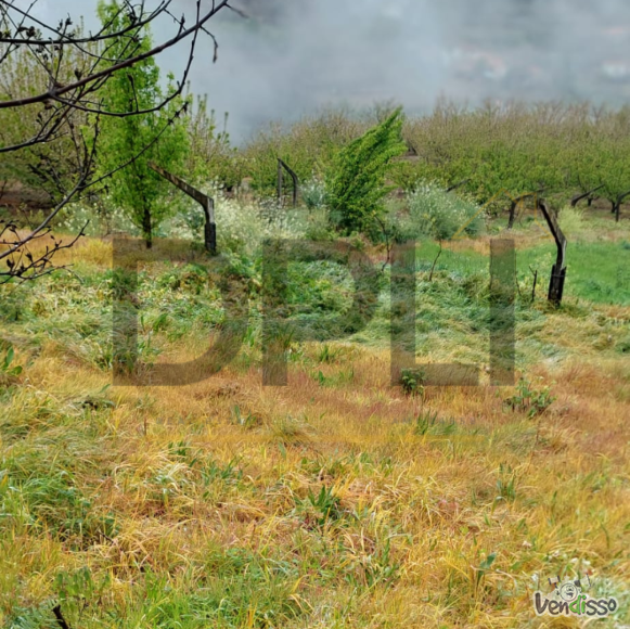 Post DPLI IMÓVEIS (1080 x 1080 px) (1080 x 1080 px) (94)