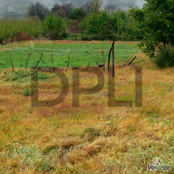 Post DPLI IMÓVEIS (1080 x 1080 px) (1080 x 1080 px) (95)