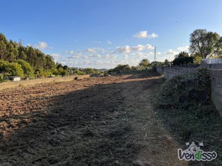 Excelente Terreno Plano com 667 m² - Ideal para Construir a Sua Moradia!