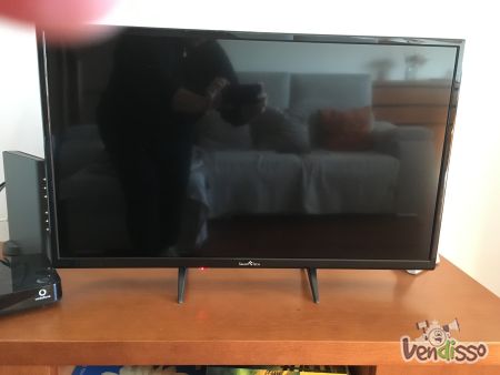 TV ecrã 81 cm SMARTTECH