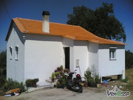 Imagem WhatsApp 2025-08-06 às 15.34.32_12265b2f Quinta do Régio com 15,860 m2 e casa de habitação de 2 pisos