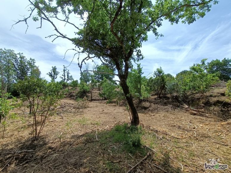 IMG-20250925-WA0007