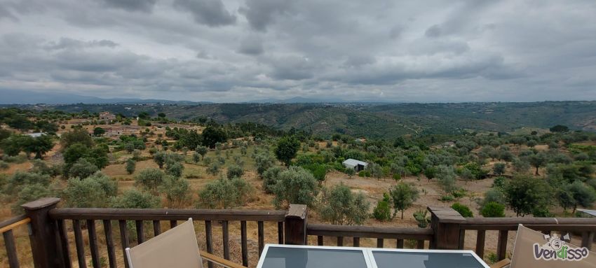 IMG-20250625-WA0043