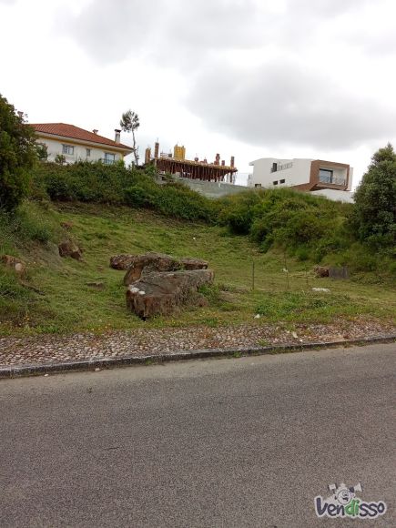lote-138 c